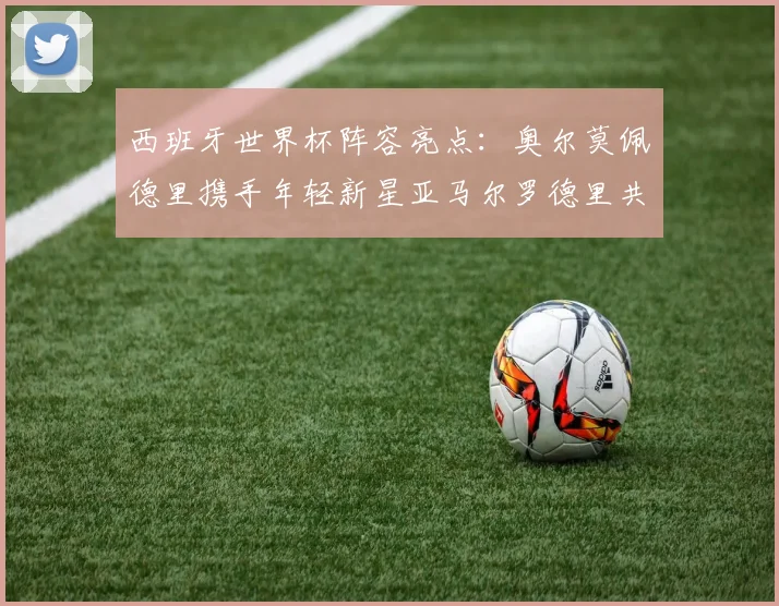 西班牙世界杯阵容亮点：奥尔莫佩德里携手年轻新星亚马尔罗德里共赴荣耀之战