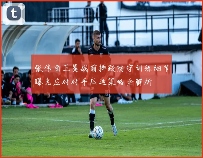 张伟丽卫冕战前摔跤防守训练细节曝光应对对手压迫策略全解析